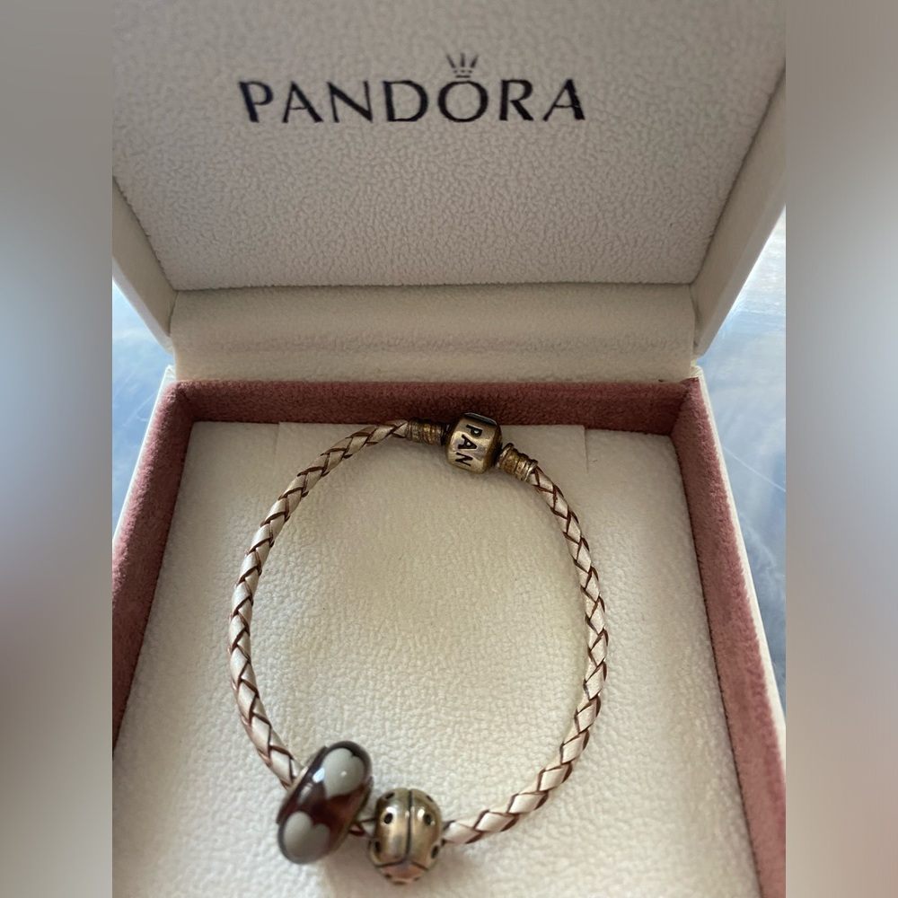 ⭐️HP⭐️Pandora bracelet